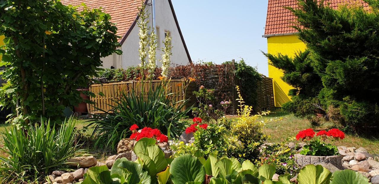 Ferienwohnungen "Zur Schamper Muehle" Gotthun Zewnętrze zdjęcie